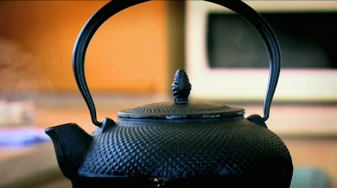 Teakettle on the Stove 3 Stock Footage 730258