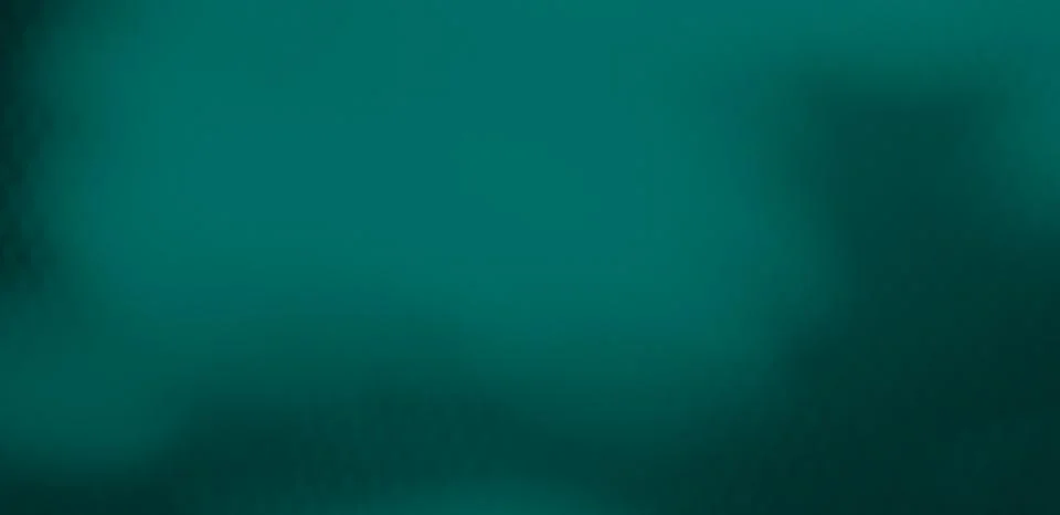 Teal Background Shadow Leaf Overlay Wall Floor blur Cement Minimal Mockup Stock Photos