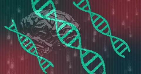 Teal data bits emerging and drifting across 3D brain then DNA helices flowing 動画素材 329694531