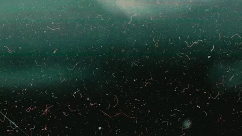 Teal Dust Texture with Light Leak and Film Grain, Cinematic Abstract Overlay Video stock 331149275