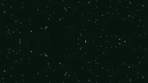 Teal Green Floating Particles on Dark Atmospheric Background 動画素材 343588983