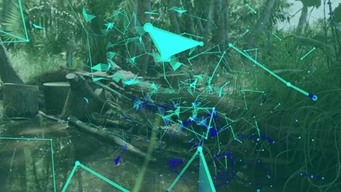 Teal particle network growing over pond, tech visualization starting, nodes Stock Footage 332625665
