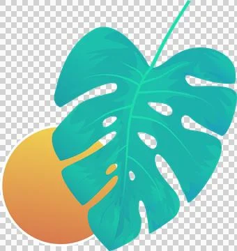 Teal vector tropical leaf is overlapping orange-yellow gradient sun disc on Stock Illustration