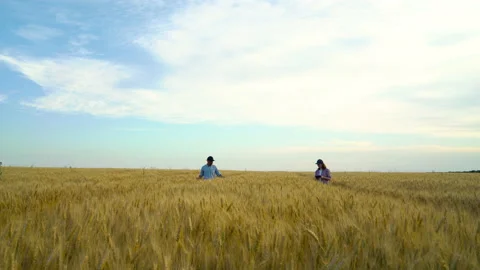 Team of agronomists checking ripeness of crops in wheat field in summer Stock Footage 135070940