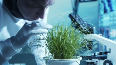 Team of astronauts in a space suits aboard the orbital station. A crew of Stock Footage 238728305