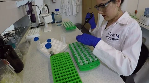 Team of biologist students working on thesis project 스톡 동영상 109317533