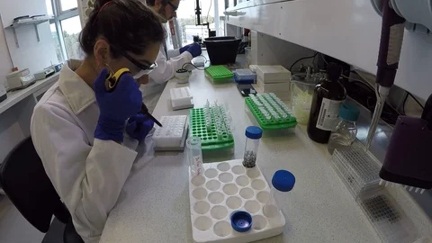 Team of biologist students working on thesis project Stock-Footage 109317862