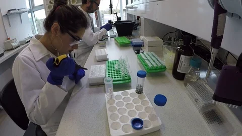 Team of biologist students working on thesis project 스톡 동영상 109317926