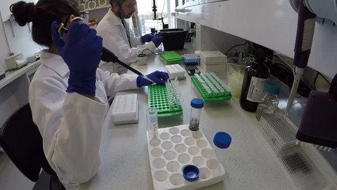 Team of biologist students working on thesis project 스톡 동영상 109317999