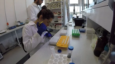 Team of biologist students working on thesis project 스톡 동영상 109318118