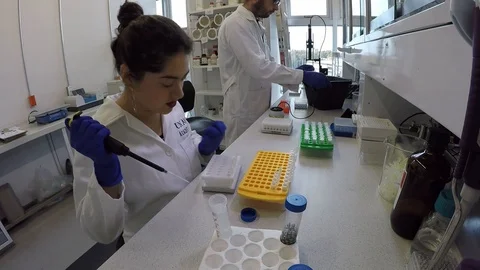 Team of biologist students working on thesis project 스톡 동영상 109318157