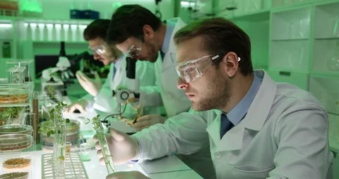 Team of Biologists Work Genetically Modified Laboratory Plants Quality Control Stock Footage 87955930