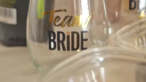 Team Bride Stock Footage 213281466