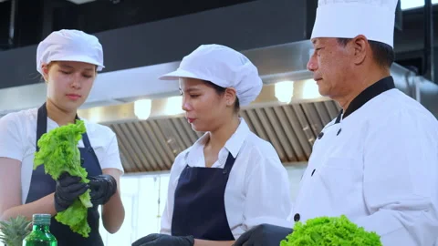 Team chef instruction and explaining apprentice about cooking and preparing.. Stock Footage 241732337