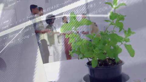 Team discussing data while camera shifting and animated code, rising graph Video stock 335466093