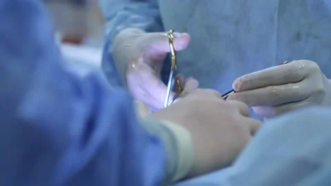Team of doctors and surgeons processing surgical operation in operating room Stock-Footage 221183149