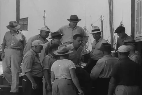 Team of expertise discuss over the polluted sample - 1951 Vídeos de archivo 99982510