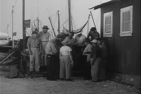 Team of expertise plan to send polluted sample to the factory manager - 1951 Vídeos de archivo 99982527