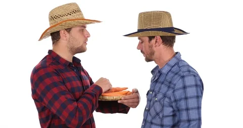 Team of Farmer Men Talking on Quality Check of Garden Products Organic Carrots Stock Footage 87927559