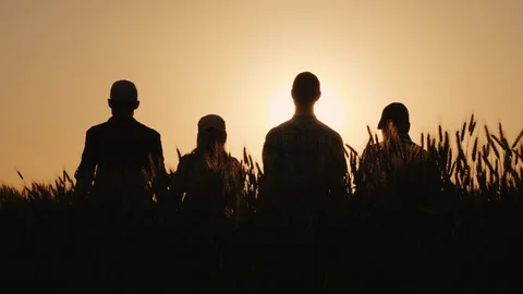 The team of farmers raise their hands up together in a sign of success and Stock Footage 121557022