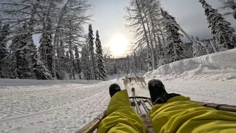 A team of five husky sleds are running along a snow-covered wild road in a fir Video stock 271077904