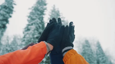 Team of friends giving high five in snowy forest Stock Footage 331596878
