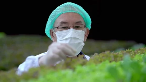 Team of greenhouse technician checking plants in the high tech greenhouse. Stock Footage 163780425