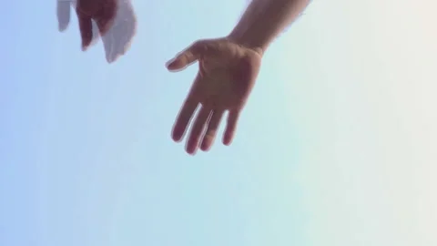 Team hands on each other. Many hands holding together on sky background. 6 men Video stock 107639063
