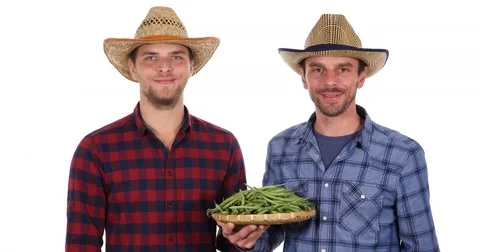 Team of Happy Farmer Men Talking Bio Green Beans Vegetables Pile Gardeners Group Video stock 77003252