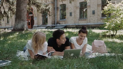 A team of international students, are working on their task outdoor, near Stock Footage 98553365