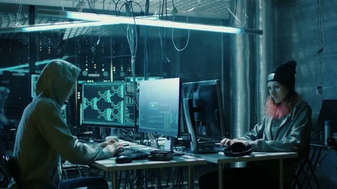 Team of Internationally Wanted Boy and Girl Hackers Organize Advanced Virus. Stock Footage 76073539