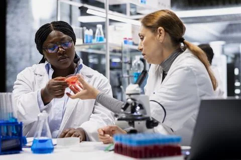 Team of laboratory experts examining mold spores on petri dish surface Stock Photos