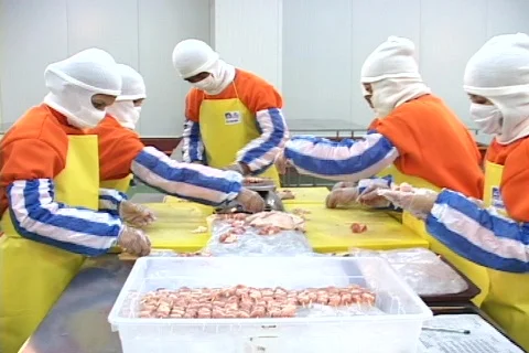 Team Making Checken Barbecue Stock Footage 266403