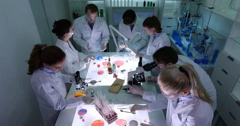 Team of Medical Forensics Work Analyzing Samples and Discussing Laboratory Job Stock Footage 83420131