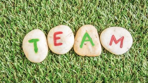 Team paint on stone , on the grass Stock Photos