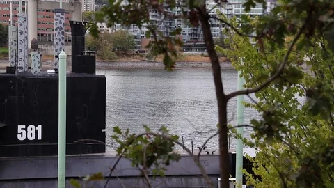 A team of people rowing on Willamette River in downtown Stock Footage 100653011