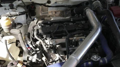 Team prepares the car for start, on Rally Stock Footage 144540609