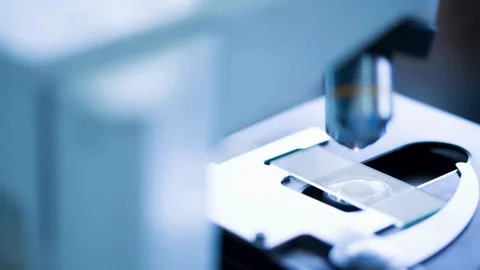 A team of researchers in the laboratory is using a sophisticated microscope Stock Footage 336582745