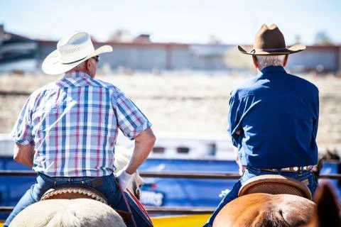 Team Roping Competition Stock Photos