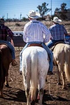 Team Roping Competition Stock Photos