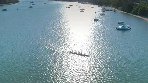 Team rowing down a river - 4K Vídeos de archivo 146146445