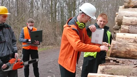 Team sawmill workers measure logs for processing. Uses tape measure. Stock Footage 152893970