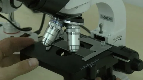 Team of Scientists are Doing Biological Researches Under Microscope and Writing Stock Footage 85521574