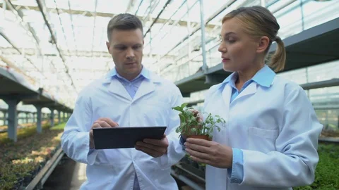 Team of scientists researching plant making notes in tablet, breeding science Stock-Footage 118956989