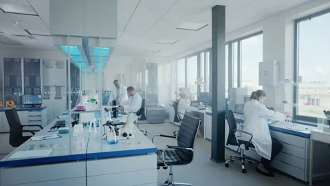 Team of Scientists work in Laboratory Stock Footage 143736100