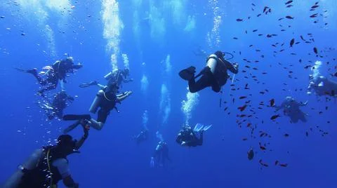Team of scuba divers in the blue deep sea water Stock Photos