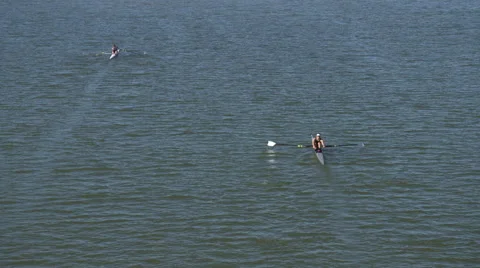 Team of Single Scull Rowers in River Stock Footage 65428809