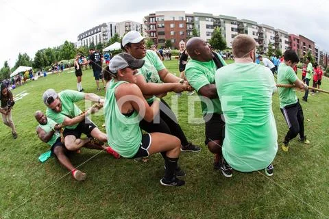 Team Struggles Pulling Roge In Tug Of War Contest Stock Photos