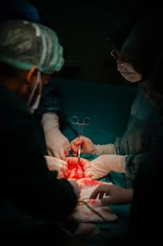 Team surgeon at work in operating room. Stock Photos