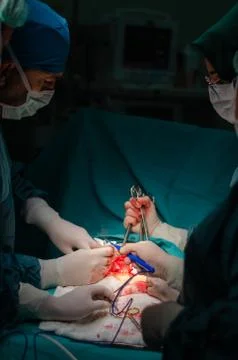 Team surgeon at work in operating room. Stock Photos